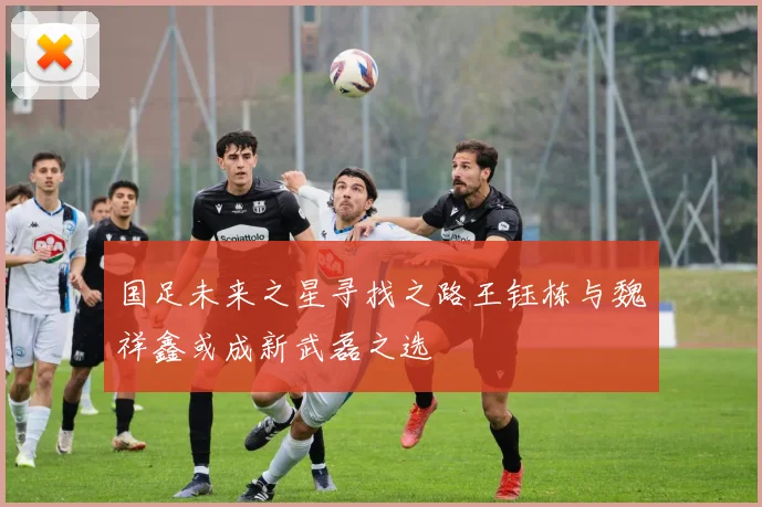 国足未来之星寻找之路王钰栋与魏祥鑫或成新武磊之选