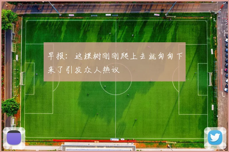早报：这棵树刚刚爬上去就匆匆下来了引发众人热议